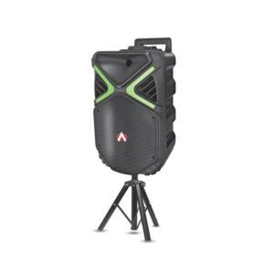 Audionic Mehfil MH-810